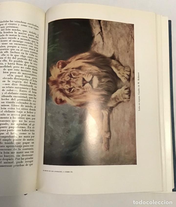 Libros de segunda mano: El reino de los animales. Espasa Calpe. 2 tomos - Foto 6