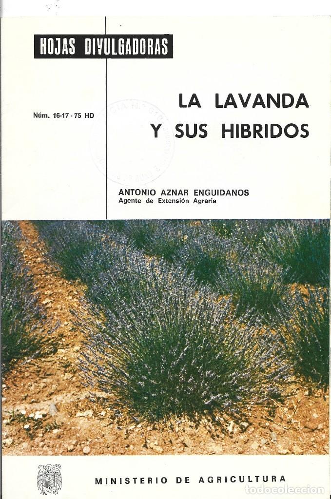 hojas divulgadoras. la lavanda y sus hí - Comprar Libros de  biología y botánica de segunda mano en todocoleccion - 318169243