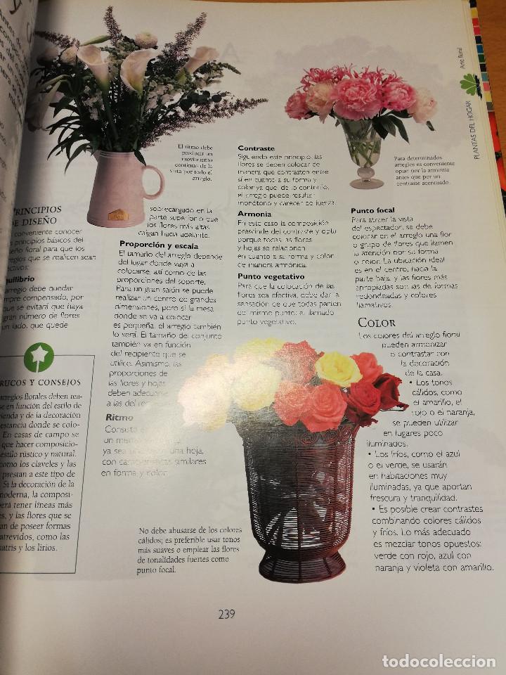 Libros de segunda mano: MANUAL PR&Aacute;CTICO DE LA JARDINER&Iacute;A (EL PAIS / AGUILAR) - Foto 5