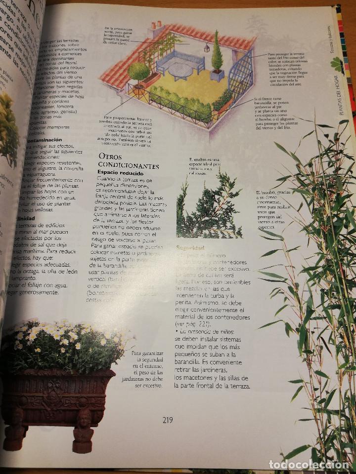 Libros de segunda mano: MANUAL PR&Aacute;CTICO DE LA JARDINER&Iacute;A (EL PAIS / AGUILAR) - Foto 6