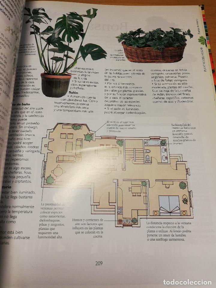 Libros de segunda mano: MANUAL PR&Aacute;CTICO DE LA JARDINER&Iacute;A (EL PAIS / AGUILAR) - Foto 7