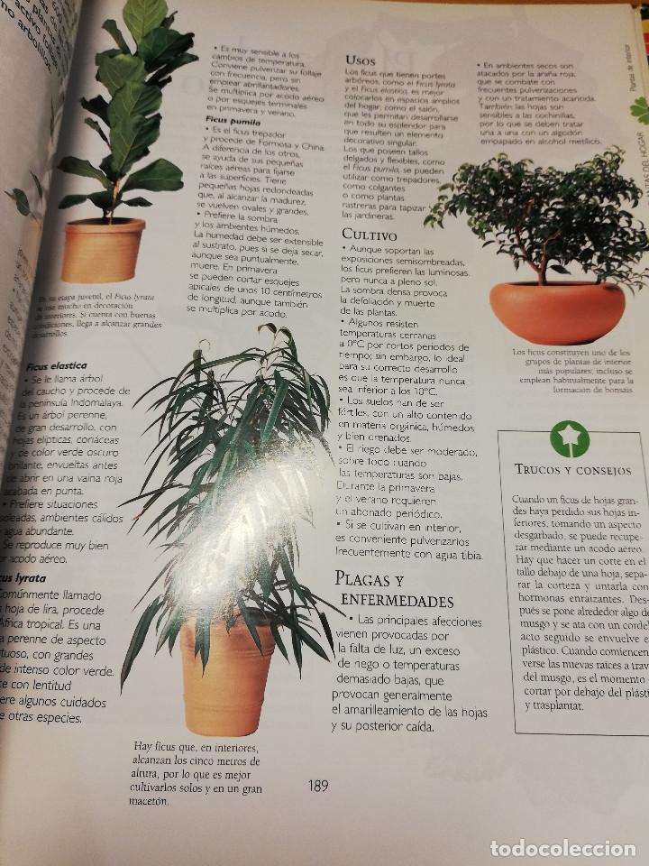 Libros de segunda mano: MANUAL PR&Aacute;CTICO DE LA JARDINER&Iacute;A (EL PAIS / AGUILAR) - Foto 8