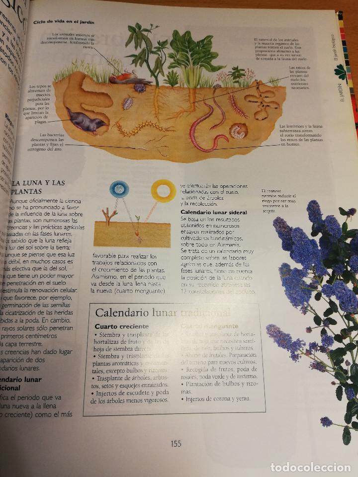Libros de segunda mano: MANUAL PR&Aacute;CTICO DE LA JARDINER&Iacute;A (EL PAIS / AGUILAR) - Foto 9