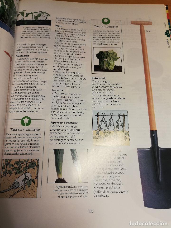 Libros de segunda mano: MANUAL PR&Aacute;CTICO DE LA JARDINER&Iacute;A (EL PAIS / AGUILAR) - Foto 10