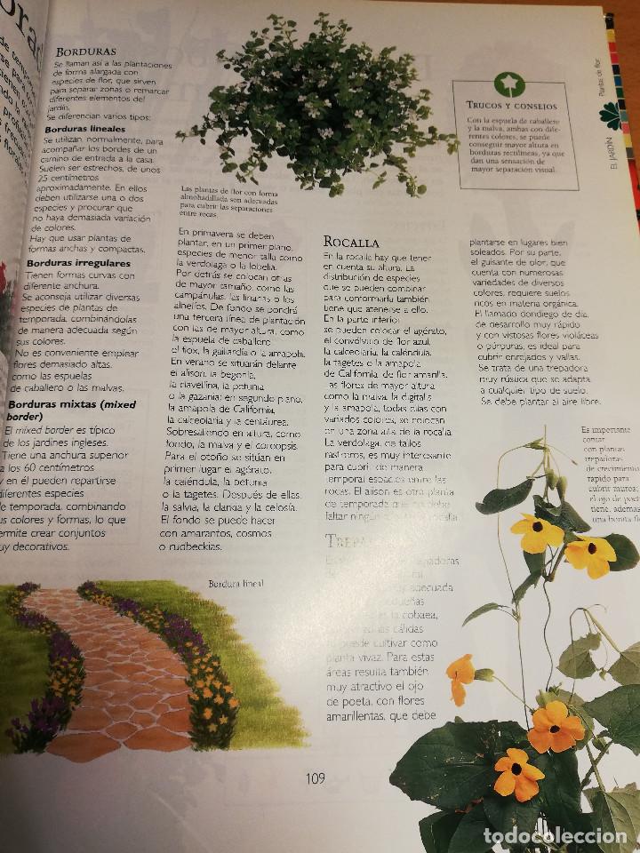 Libros de segunda mano: MANUAL PR&Aacute;CTICO DE LA JARDINER&Iacute;A (EL PAIS / AGUILAR) - Foto 11