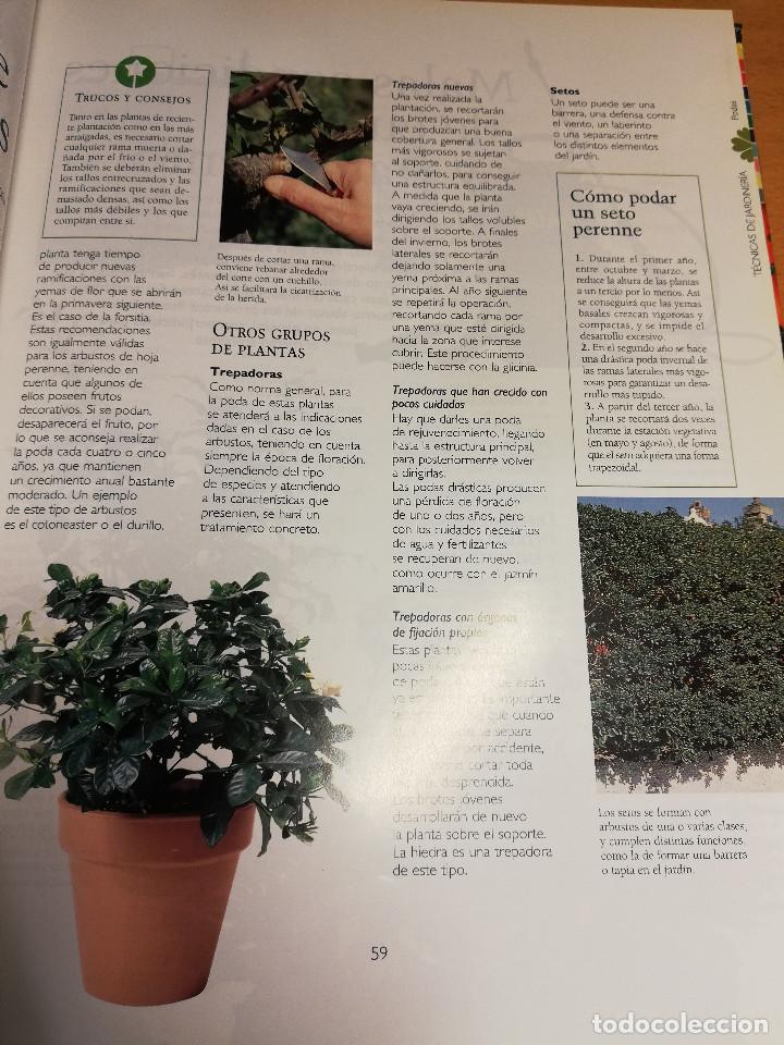 Libros de segunda mano: MANUAL PR&Aacute;CTICO DE LA JARDINER&Iacute;A (EL PAIS / AGUILAR) - Foto 12
