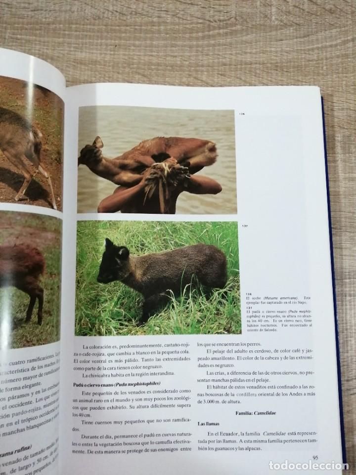 Libros de segunda mano: Fauna del Ecuador. Erwin Patzelt. - Foto 5