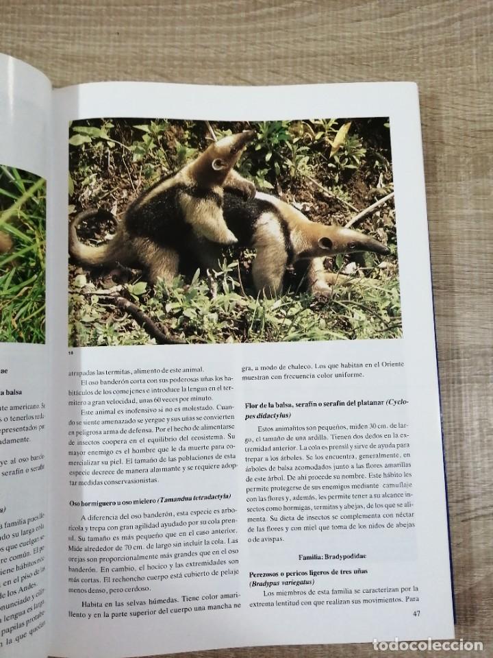 Libros de segunda mano: Fauna del Ecuador. Erwin Patzelt. - Foto 6
