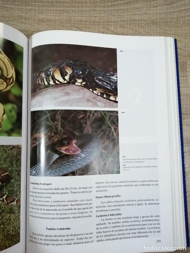 Libros de segunda mano: Fauna del Ecuador. Erwin Patzelt. - Foto 7