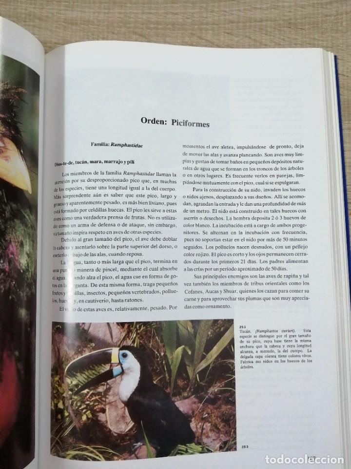 Libros de segunda mano: Fauna del Ecuador. Erwin Patzelt. - Foto 8