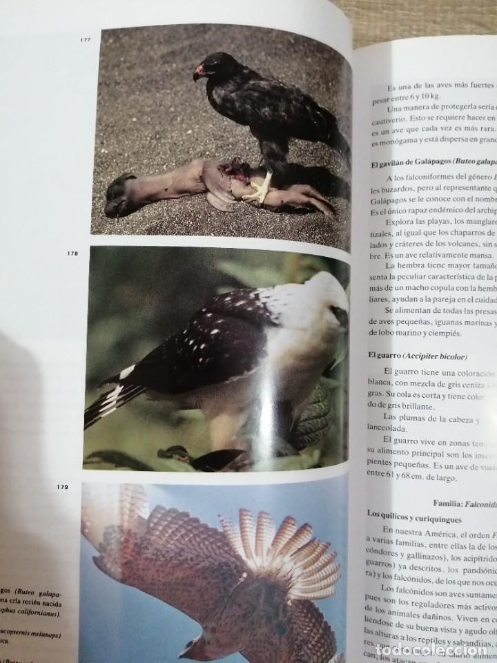 Libros de segunda mano: Fauna del Ecuador. Erwin Patzelt. - Foto 9