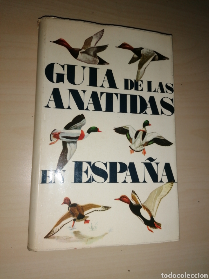 Libros de segunda mano: GU&Iacute;A DE LAS ANATIDAS EN ESPA&Ntilde;A - Foto 1