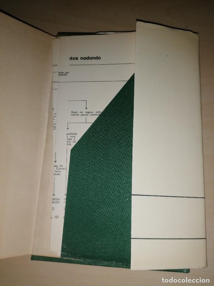 Libros de segunda mano: GU&Iacute;A DE LAS ANATIDAS EN ESPA&Ntilde;A - Foto 4