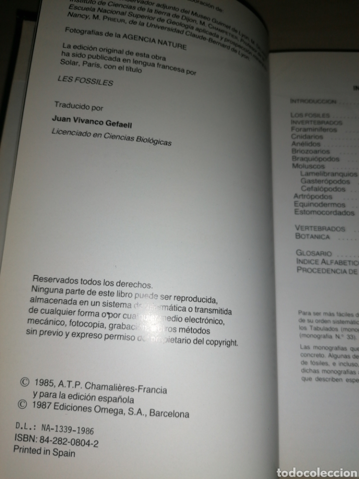 Libros de segunda mano: GU&Iacute;A DE F&Oacute;SILES - OMEGA - Foto 2