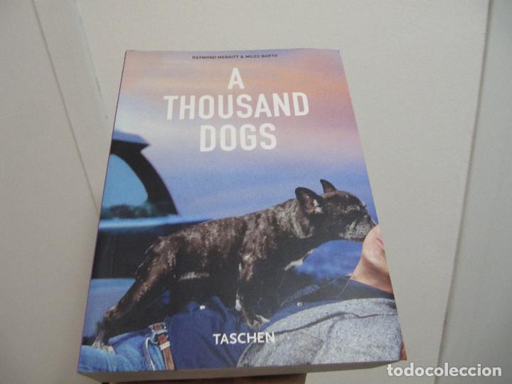 Libros de segunda mano: A THOUSAND DOGS TASCHEN - Foto 1