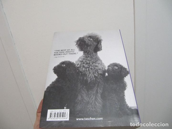 Libros de segunda mano: A THOUSAND DOGS TASCHEN - Foto 2