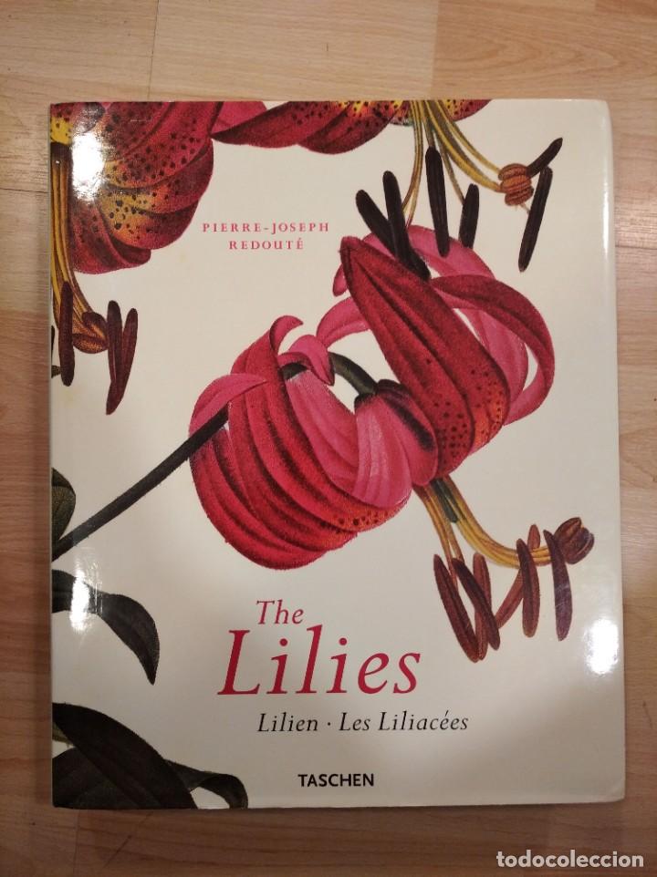 Libros de segunda mano: The lilies. Pierre Joseph Redout&eacute;. Taschen - Foto 1