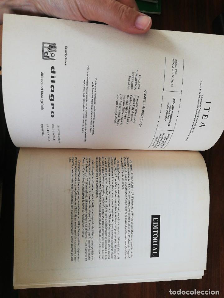 Libros de segunda mano: ITEA. PRODUCCI&Oacute;N VEGETAL. ABRIL 1986. N&ordm; 63 - Foto 3