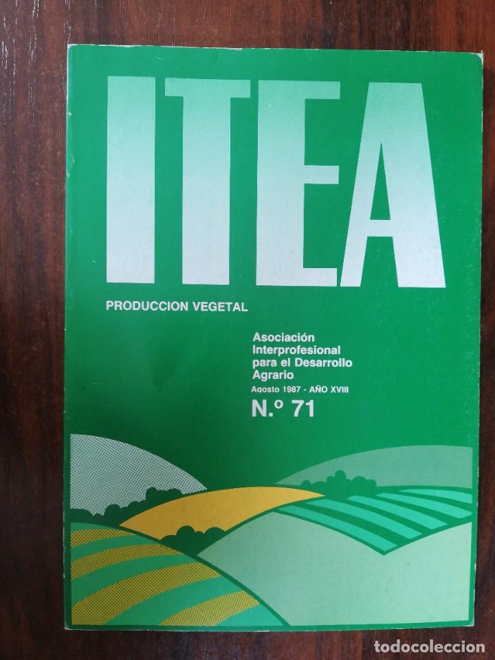 Libros de segunda mano: ITEA. PRODUCCI&Oacute;N VEGETAL. AGOSTO 1987. N&ordm; 71 - Foto 1