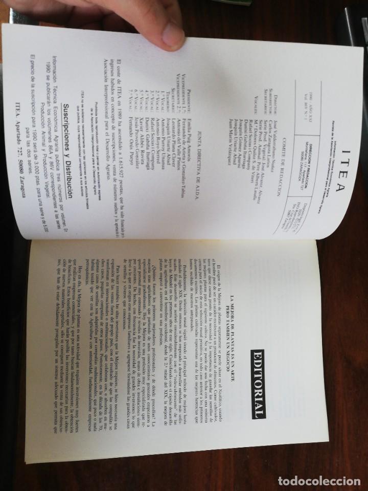 Libros de segunda mano: ITEA. PRODUCCI&Oacute;N VEGETAL. 1990. VOL. 86V N&ordm; 1 - Foto 2