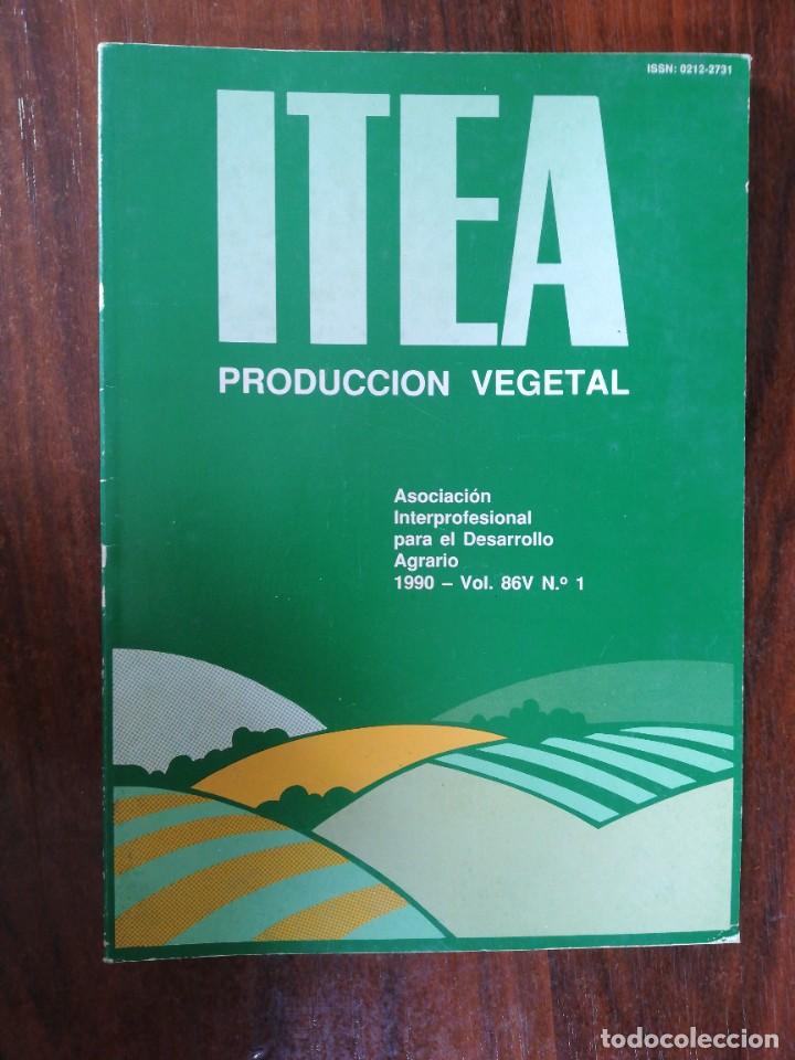 Libros de segunda mano: ITEA. PRODUCCI&Oacute;N VEGETAL. 1990. VOL. 86V N&ordm; 1 - Foto 1