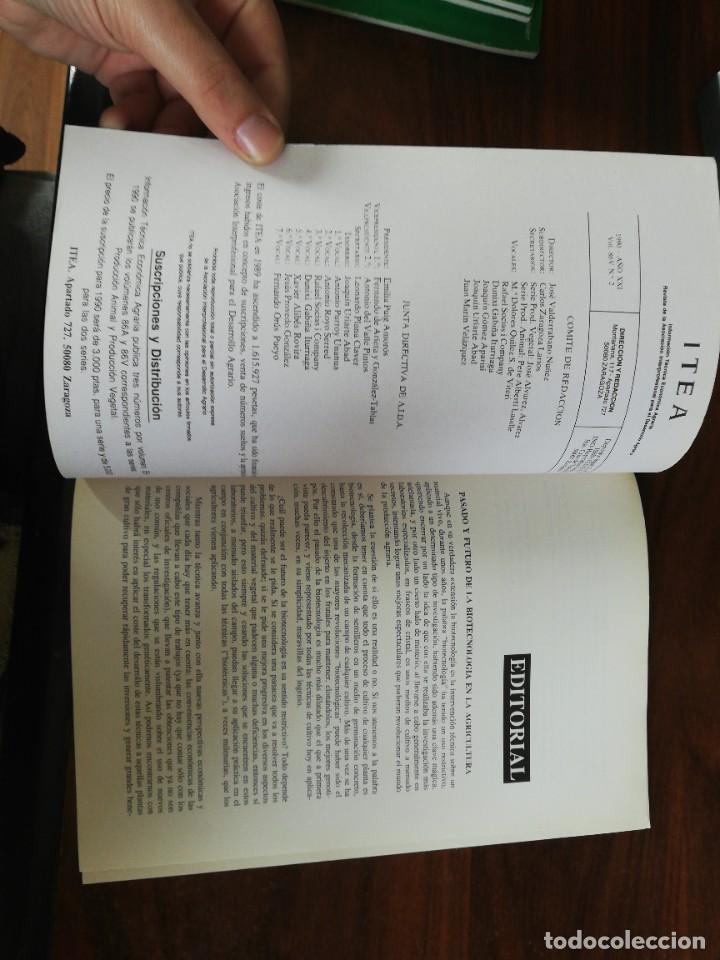 Libros de segunda mano: ITEA. PRODUCCI&Oacute;N VEGETAL. 1990. VOL. 86V N&ordm; 2 - Foto 2