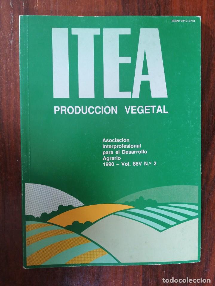 Libros de segunda mano: ITEA. PRODUCCI&Oacute;N VEGETAL. 1990. VOL. 86V N&ordm; 2 - Foto 1