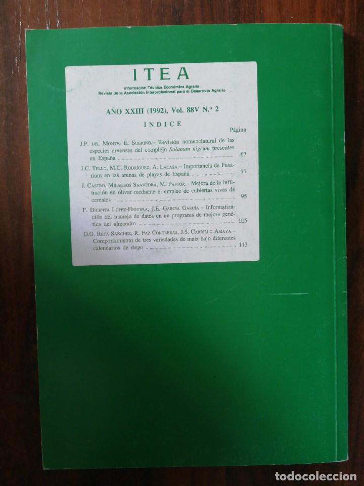 Libros de segunda mano: ITEA. PRODUCCI&Oacute;N VEGETAL. 1992. VOL. 88V N&ordm; 2 - Foto 2