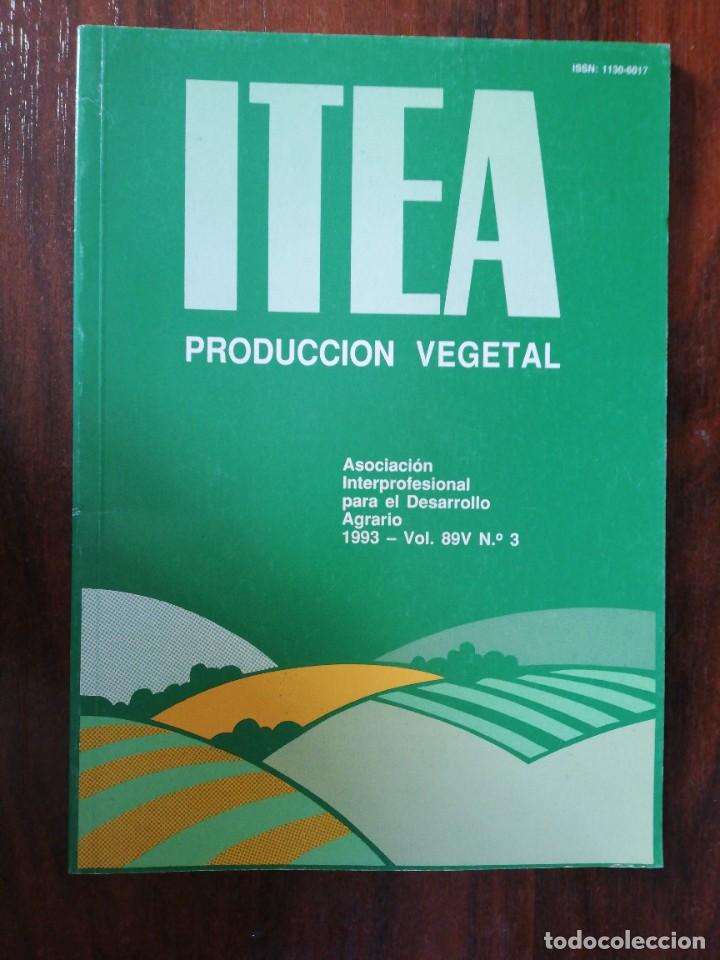 Libros de segunda mano: ITEA. PRODUCCI&Oacute;N VEGETAL. 1993. VOL. 89V N&ordm; 3 - Foto 1