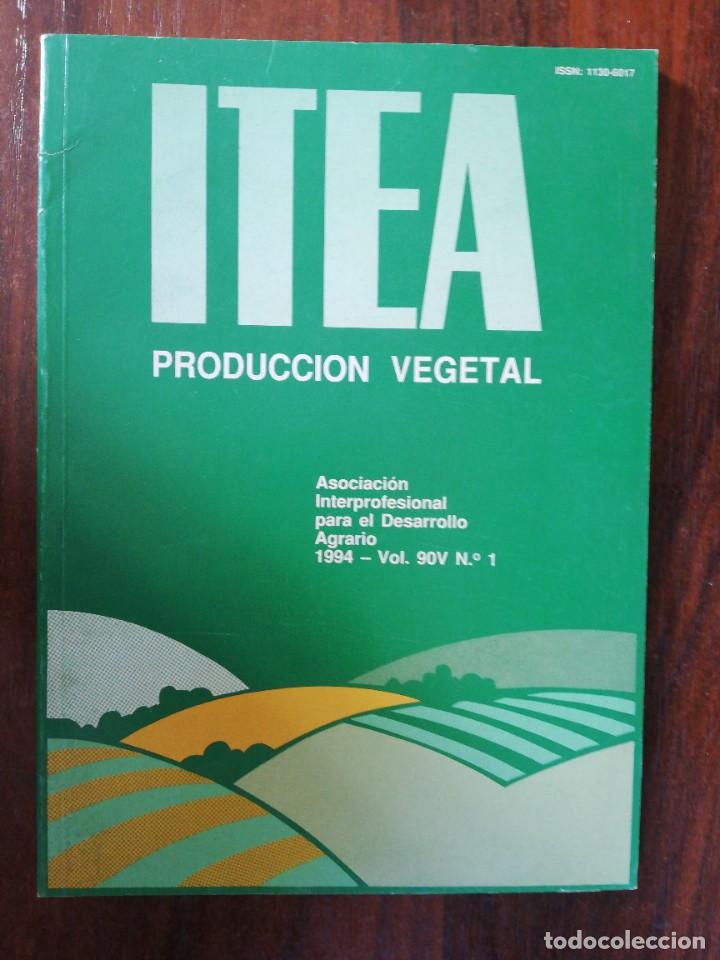 Libros de segunda mano: ITEA. PRODUCCI&Oacute;N VEGETAL. 1994. VOL. 90V N&ordm; 1 - Foto 1