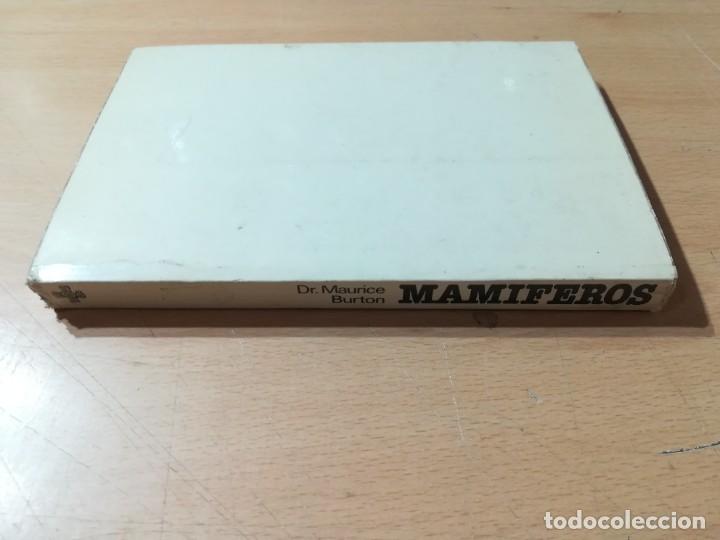 Libros de segunda mano: MAMIFEROS / DAIMON / MAURICE BURTON / AO66 - Foto 2