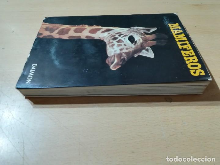 Libros de segunda mano: MAMIFEROS / DAIMON / MAURICE BURTON / AO66 - Foto 3