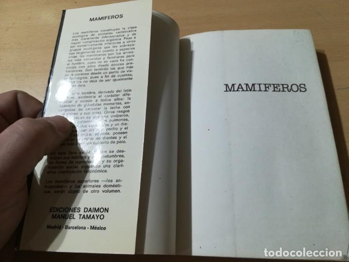 Libros de segunda mano: MAMIFEROS / DAIMON / MAURICE BURTON / AO66 - Foto 4