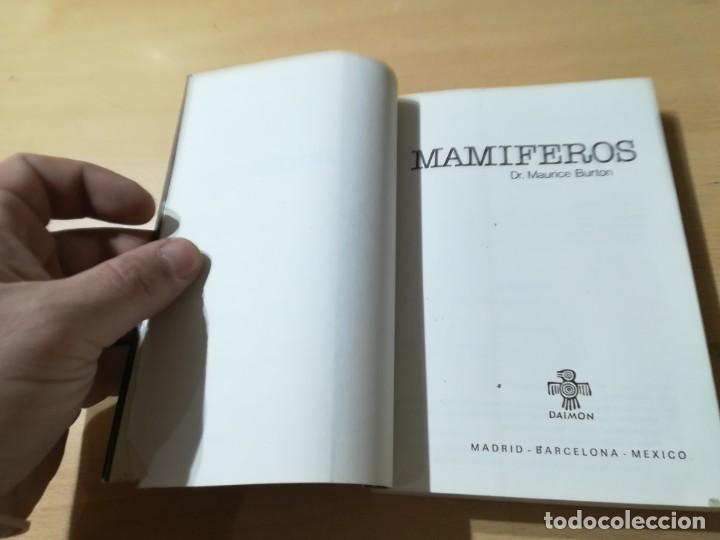 Libros de segunda mano: MAMIFEROS / DAIMON / MAURICE BURTON / AO66 - Foto 5