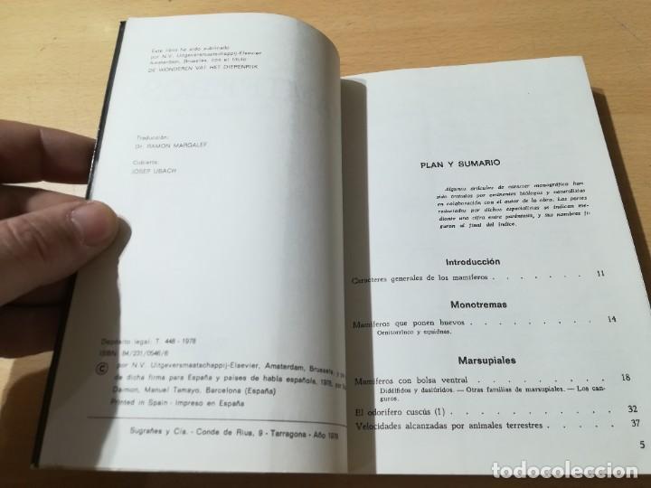 Libros de segunda mano: MAMIFEROS / DAIMON / MAURICE BURTON / AO66 - Foto 6