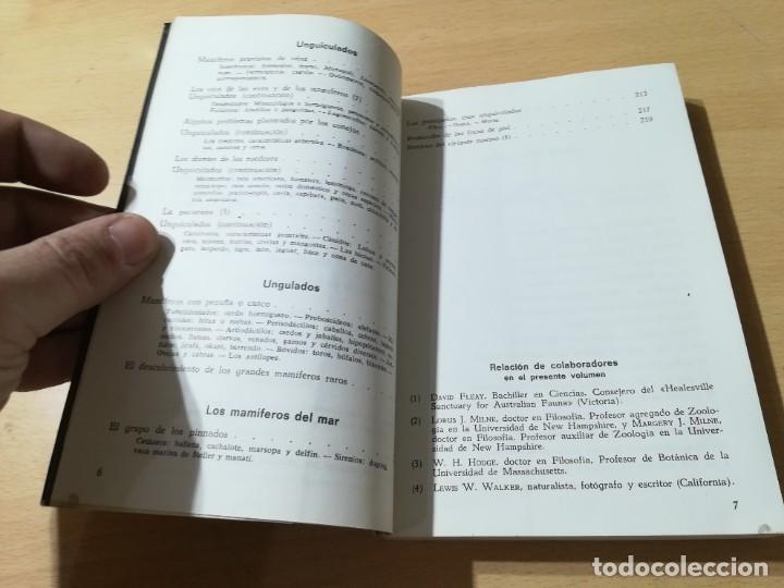 Libros de segunda mano: MAMIFEROS / DAIMON / MAURICE BURTON / AO66 - Foto 7
