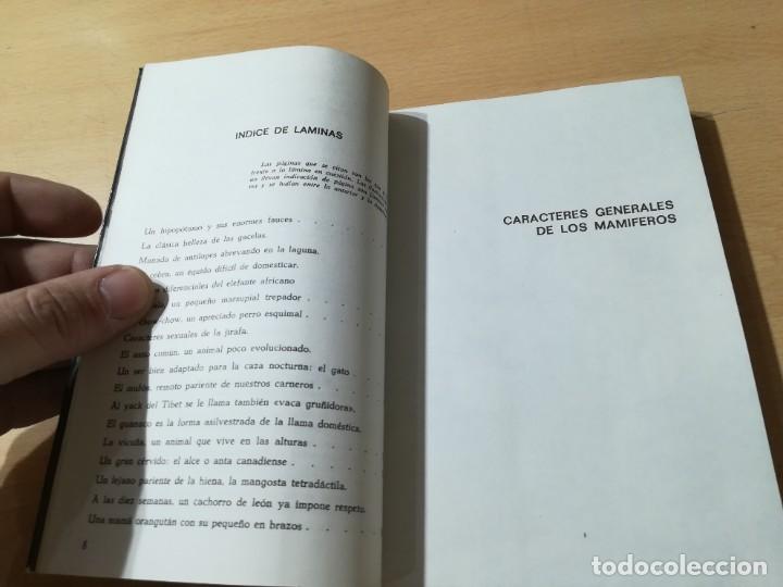 Libros de segunda mano: MAMIFEROS / DAIMON / MAURICE BURTON / AO66 - Foto 8