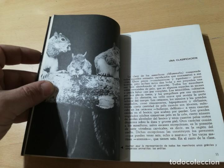Libros de segunda mano: MAMIFEROS / DAIMON / MAURICE BURTON / AO66 - Foto 9