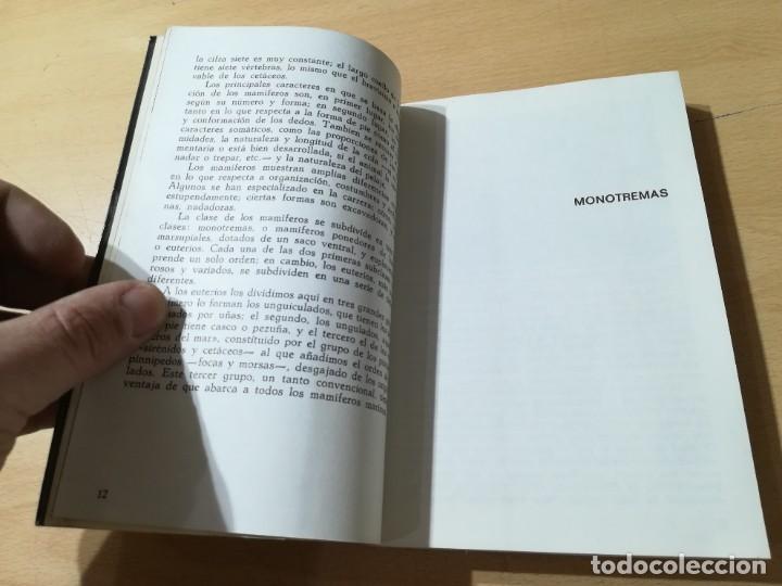 Libros de segunda mano: MAMIFEROS / DAIMON / MAURICE BURTON / AO66 - Foto 10