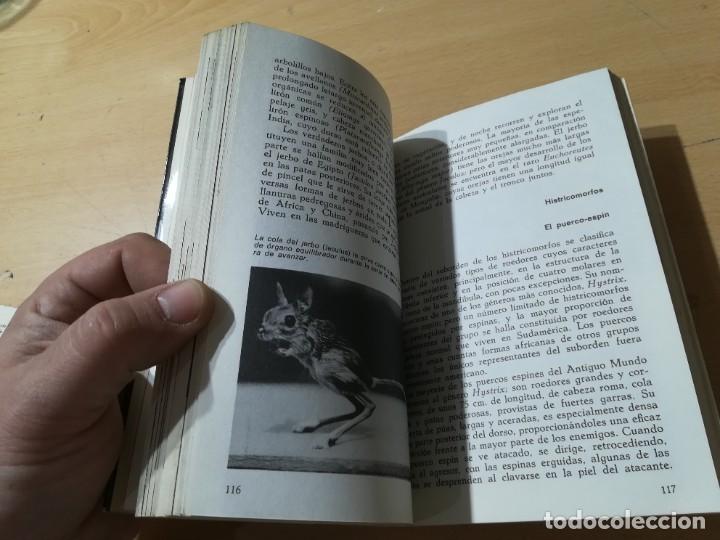 Libros de segunda mano: MAMIFEROS / DAIMON / MAURICE BURTON / AO66 - Foto 12