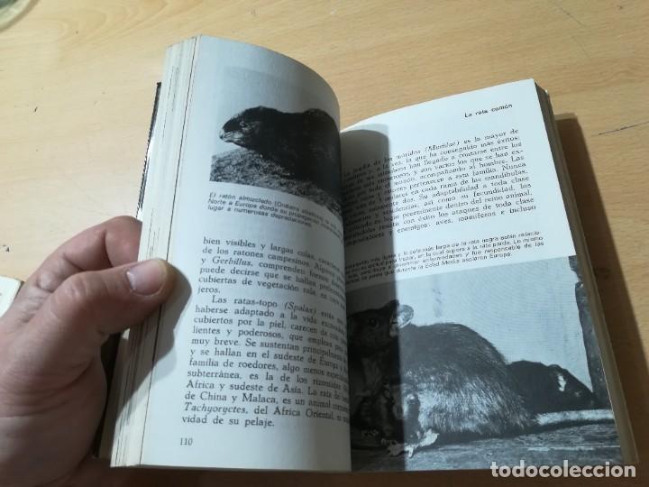 Libros de segunda mano: MAMIFEROS / DAIMON / MAURICE BURTON / AO66 - Foto 13