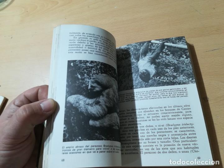 Libros de segunda mano: MAMIFEROS / DAIMON / MAURICE BURTON / AO66 - Foto 15