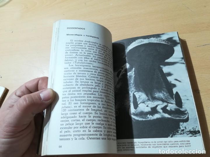 Libros de segunda mano: MAMIFEROS / DAIMON / MAURICE BURTON / AO66 - Foto 16