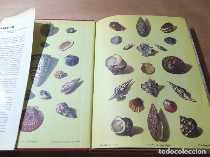 Libros de segunda mano: OCEANOS / G.E.R. DEACON / LUIS DE CARALT / AP904 - Foto 6