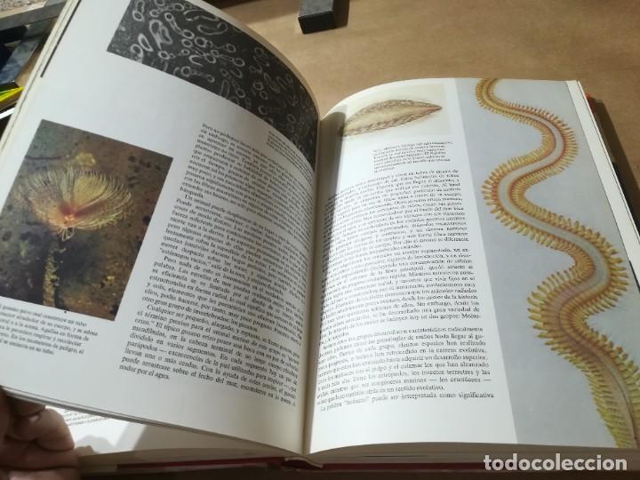 Libros de segunda mano: OCEANOS / G.E.R. DEACON / LUIS DE CARALT / AP904 - Foto 36