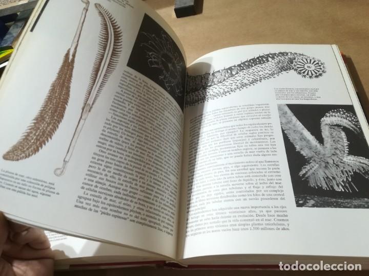 Libros de segunda mano: OCEANOS / G.E.R. DEACON / LUIS DE CARALT / AP904 - Foto 37