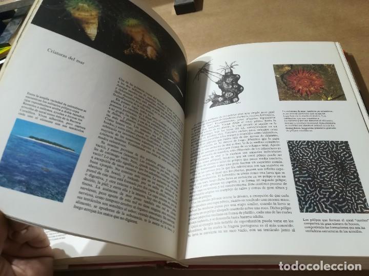 Libros de segunda mano: OCEANOS / G.E.R. DEACON / LUIS DE CARALT / AP904 - Foto 38