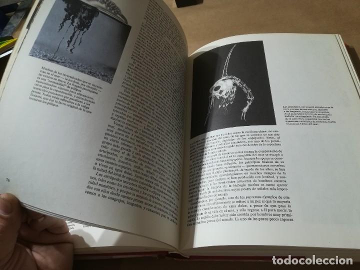 Libros de segunda mano: OCEANOS / G.E.R. DEACON / LUIS DE CARALT / AP904 - Foto 40