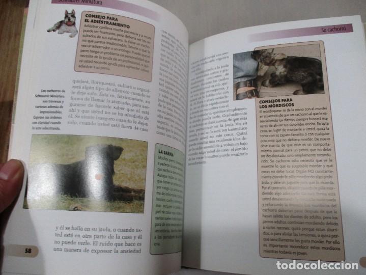 Libros de segunda mano: L. SHEEHAN Schnauzer Miniatura W11155 - Foto 2