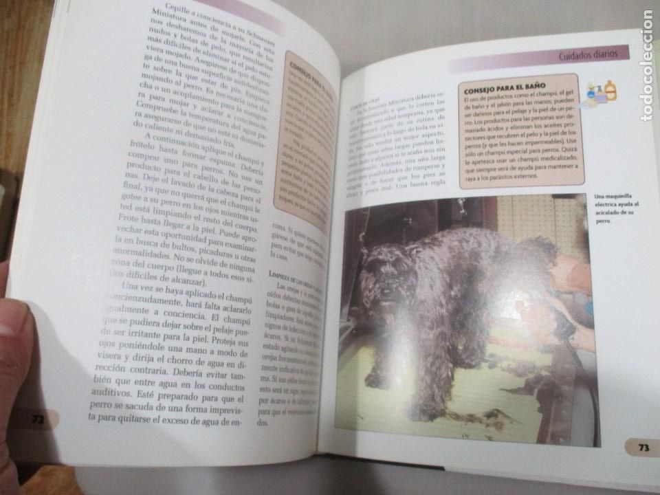 Libros de segunda mano: L. SHEEHAN Schnauzer Miniatura W11155 - Foto 3